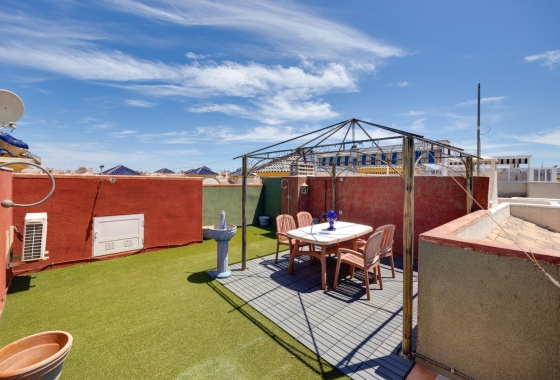 Rynek Wtórny - Bungalow - Torrevieja - Nueva Torrevieja - Aguas Nuevas