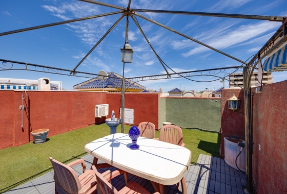 Rynek Wtórny - Bungalow - Torrevieja - Nueva Torrevieja - Aguas Nuevas