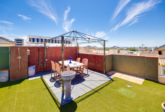 Rynek Wtórny - Bungalow - Torrevieja - Nueva Torrevieja - Aguas Nuevas