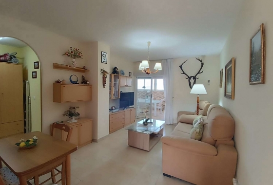 Reventa - Apartamento / piso - Torrevieja - Acequion