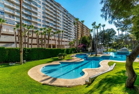 Resale - Apartment / flat - Campoamor
