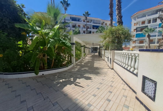 Reventa - Apartamento / piso - La Mata