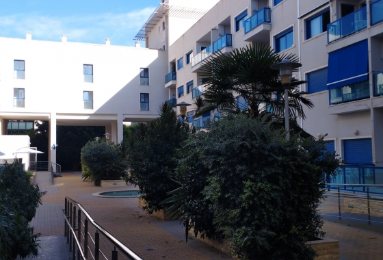 Reventa - Apartamento / piso - Alicante -  Urbanización
