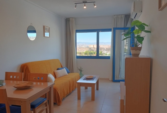 Reventa - Apartamento / piso - Alicante -  Urbanización