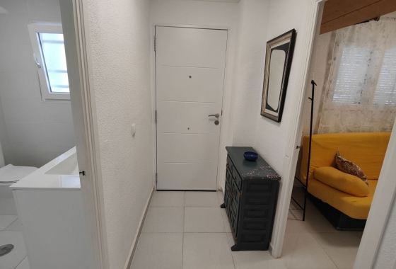 Rynek Wtórny - Apartament - Torrevieja - Torrelamata - La Mata
