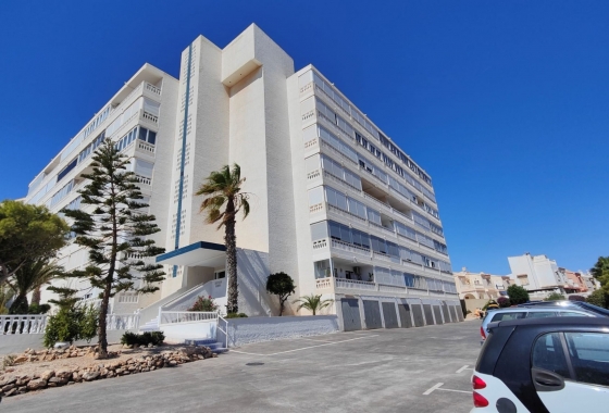 Rynek Wtórny - Apartament - Torrevieja - Torrelamata - La Mata