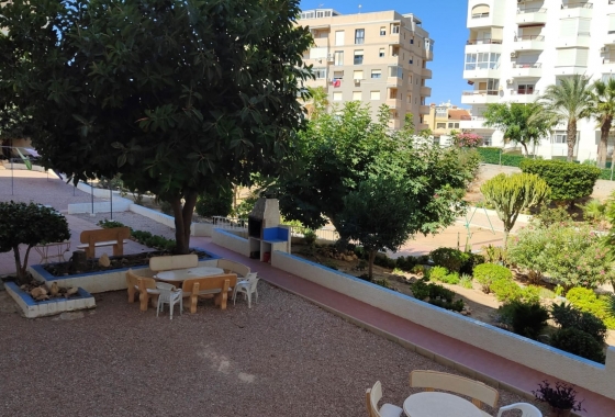 Rynek Wtórny - Apartament - Torrevieja - Torrelamata - La Mata