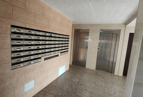 Rynek Wtórny - Apartament - Torrevieja - Torrelamata - La Mata