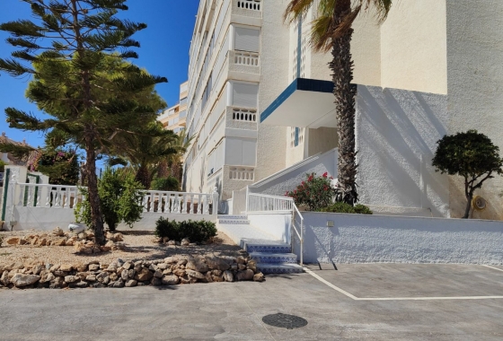 Rynek Wtórny - Apartament - Torrevieja - Torrelamata - La Mata