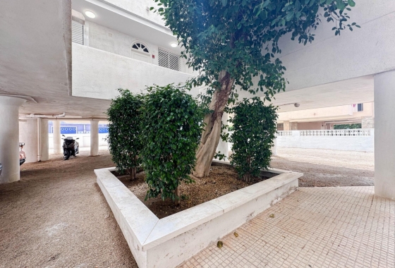 Rynek Wtórny - Apartament - Santa Pola - Gran Playa