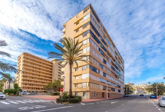 Rynek Wtórny - Apartament - Torrevieja - Torrelamata - La Mata