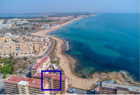 Rynek Wtórny - Apartament - Torrevieja - Torrelamata - La Mata