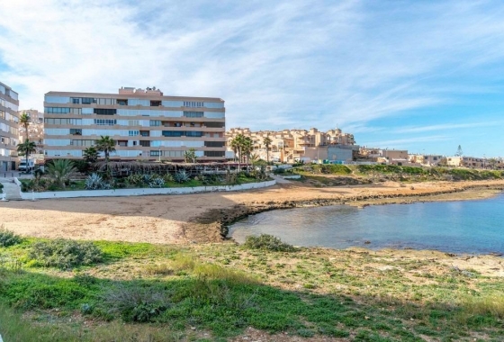 Rynek Wtórny - Apartament - Torrevieja - Torrelamata - La Mata