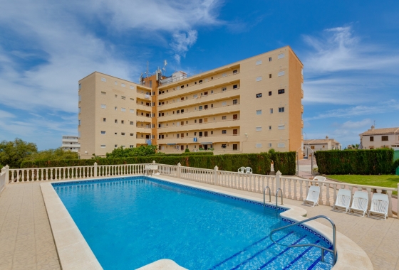 Rynek Wtórny - Apartament - Torrevieja - Torreblanca
