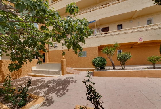 Rynek Wtórny - Apartament - Torrevieja - Torreblanca