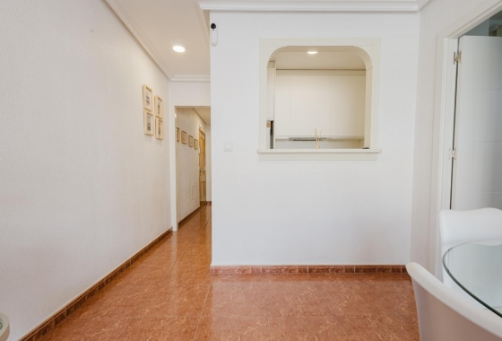 Rynek Wtórny - Apartament - Torrevieja - Playa del Acequión