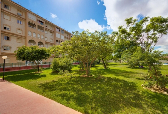 Rynek Wtórny - Apartament - Torrevieja - El Acequión - Los Náufragos