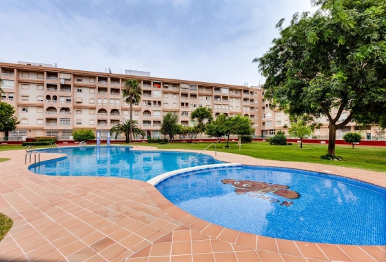 Rynek Wtórny - Apartament - Torrevieja - El Acequión - Los Náufragos