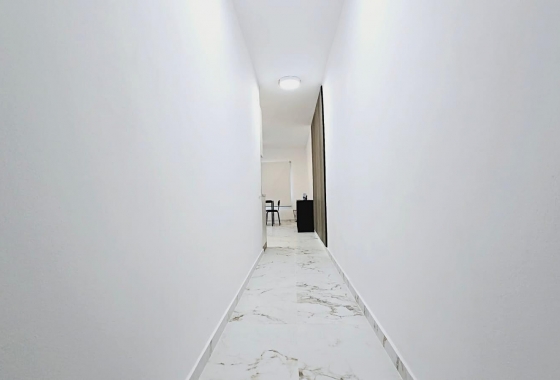 Rynek Wtórny - Apartament - Torrevieja - PLAYA LOS LOCOS