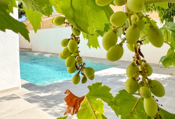 Deweloperskie - Willa - Torrevieja - Los Balcones - Los Altos del Edén