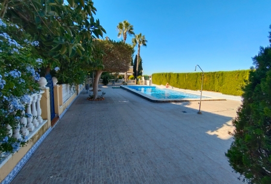 Rynek Wtórny - Willa - Guardamar del Segura - Urbanizaciones