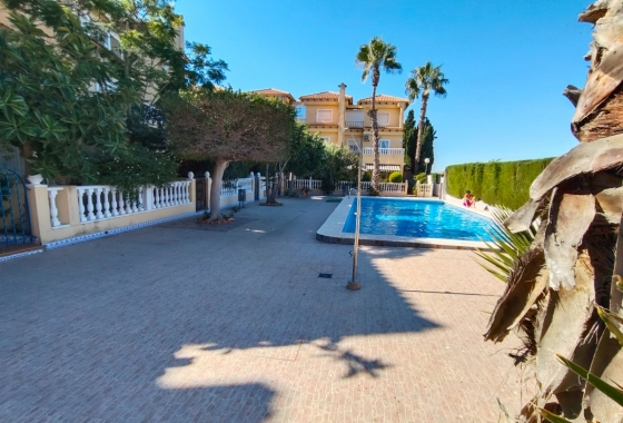 Rynek Wtórny - Willa - Guardamar del Segura - Urbanizaciones