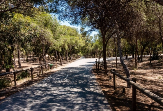 Deweloperskie - Apartament - Guardamar del Segura - Urbanizaciones