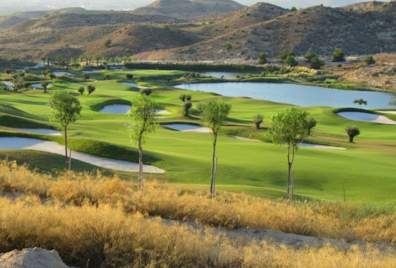 Obra nueva - Duplex - Monforte del Cid