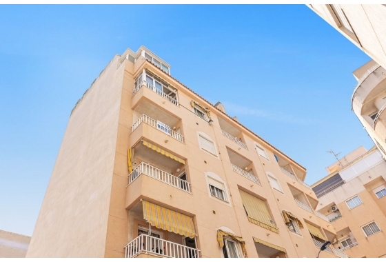 Rynek Wtórny - Apartament - Torrevieja - Centrum