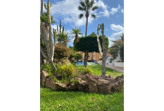 Rynek Wtórny - Poddasze - Torrevieja - Torreblanca