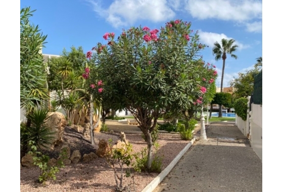 Rynek Wtórny - Poddasze - Torrevieja - Torreblanca