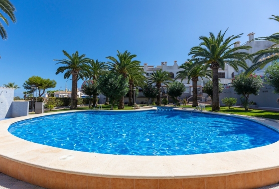 Rynek Wtórny - Poddasze - Torrevieja - Torreblanca