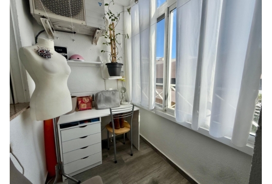 Rynek Wtórny - Apartament - Torrevieja - Parque de Las Naciones