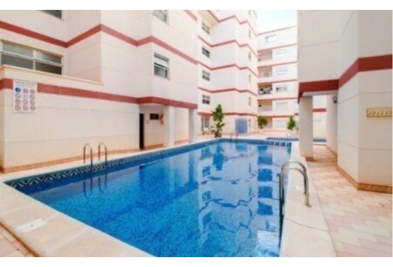 Rynek Wtórny - Apartament - Torrevieja - Parque de Las Naciones