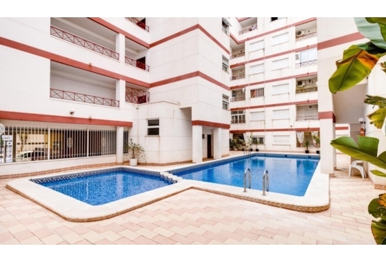 Rynek Wtórny - Apartament - Torrevieja - Parque de Las Naciones