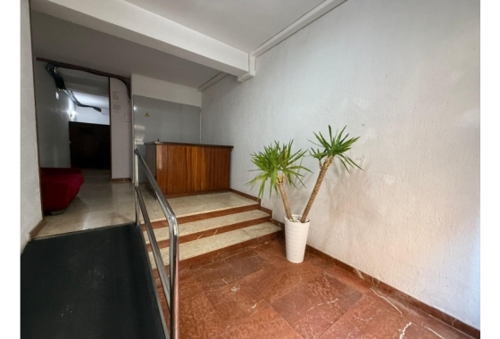 Rynek Wtórny - Apartament - Benidorm - Levante