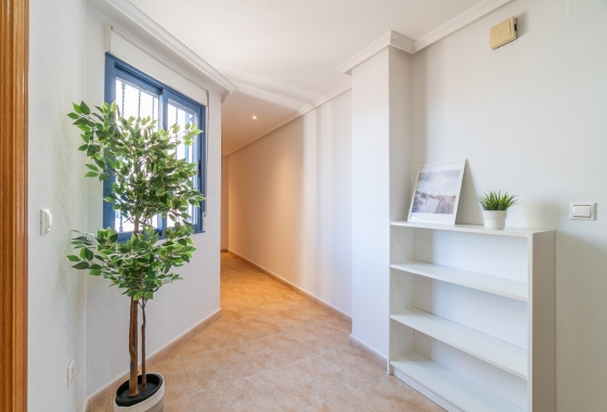 Rynek Wtórny - Poddasze - Torrevieja - Torrevieja - Playa del Cura