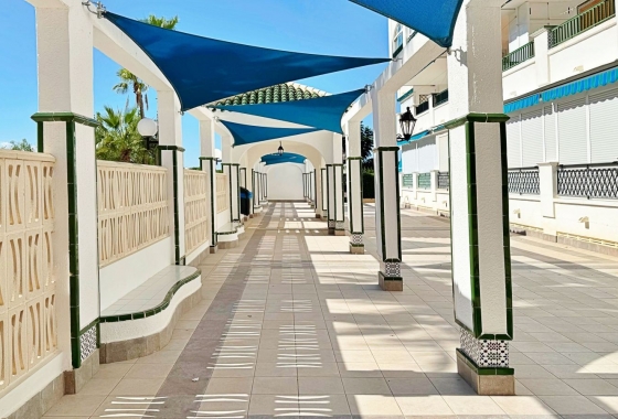 Rynek Wtórny - Apartament - Torrevieja - LA MATA