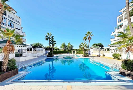 Rynek Wtórny - Apartament - Torrevieja - LA MATA