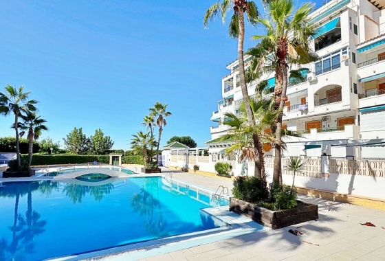 Rynek Wtórny - Apartament - Torrevieja - LA MATA