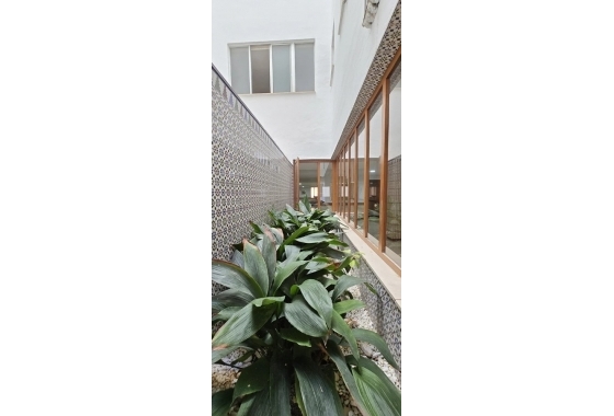 Rynek Wtórny - Apartament - Torrevieja - Playa del Cura