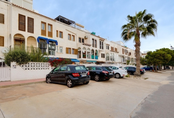 Rynek Wtórny - Apartament - Torrevieja - Playa de los Locos