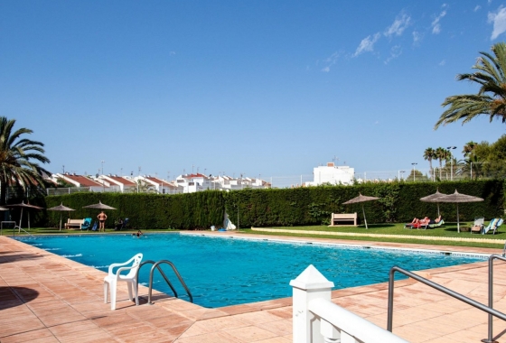 Rynek Wtórny - Apartament - Torrevieja - Playa de los Locos