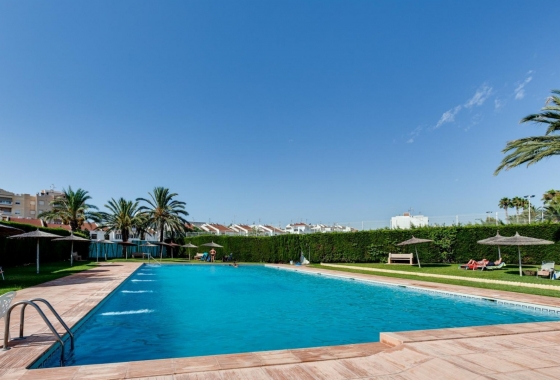 Rynek Wtórny - Apartament - Torrevieja - Playa de los Locos