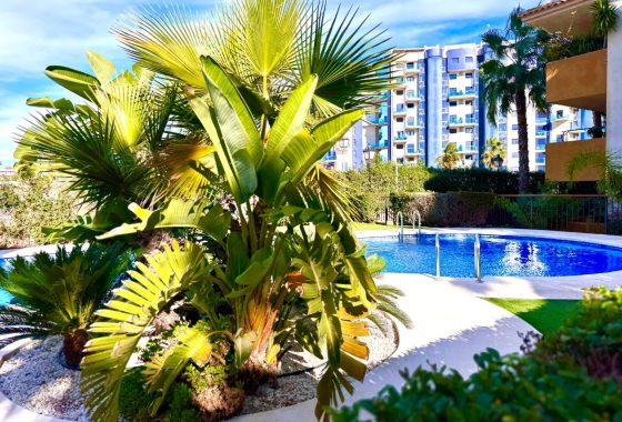 Rynek Wtórny - Apartament - Punta Prima