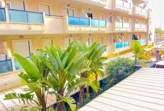 Rynek Wtórny - Apartament - Orihuela Costa - Cabo Roig