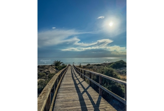 Rynek Wtórny - Apartament - Arenales del Sol - Arenales