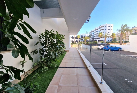 Rynek Wtórny - Apartament - Arenales del Sol - Arenales