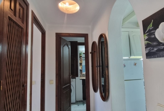 Rynek Wtórny - Apartament - Torrevieja - Playa de los Locos