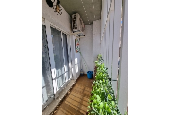 Rynek Wtórny - Apartament - Torrevieja - La Mata pueblo